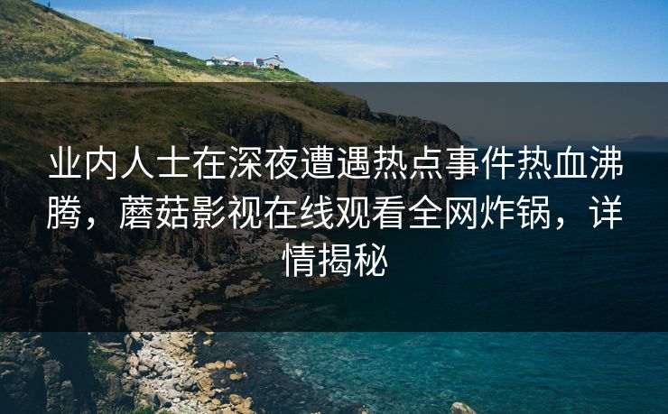 业内人士在深夜遭遇热点事件热血沸腾，蘑菇影视在线观看全网炸锅，详情揭秘