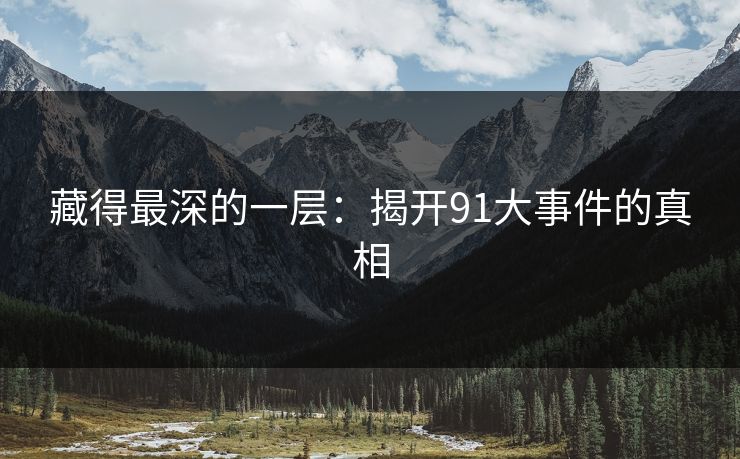 藏得最深的一层：揭开91大事件的真相
